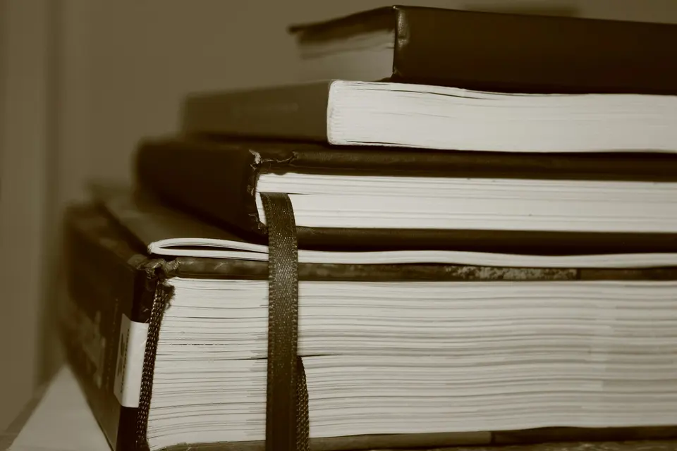 Highlighted pages in an open book