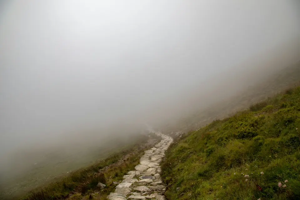 A stone path crossing a grassy hillside in thick fog