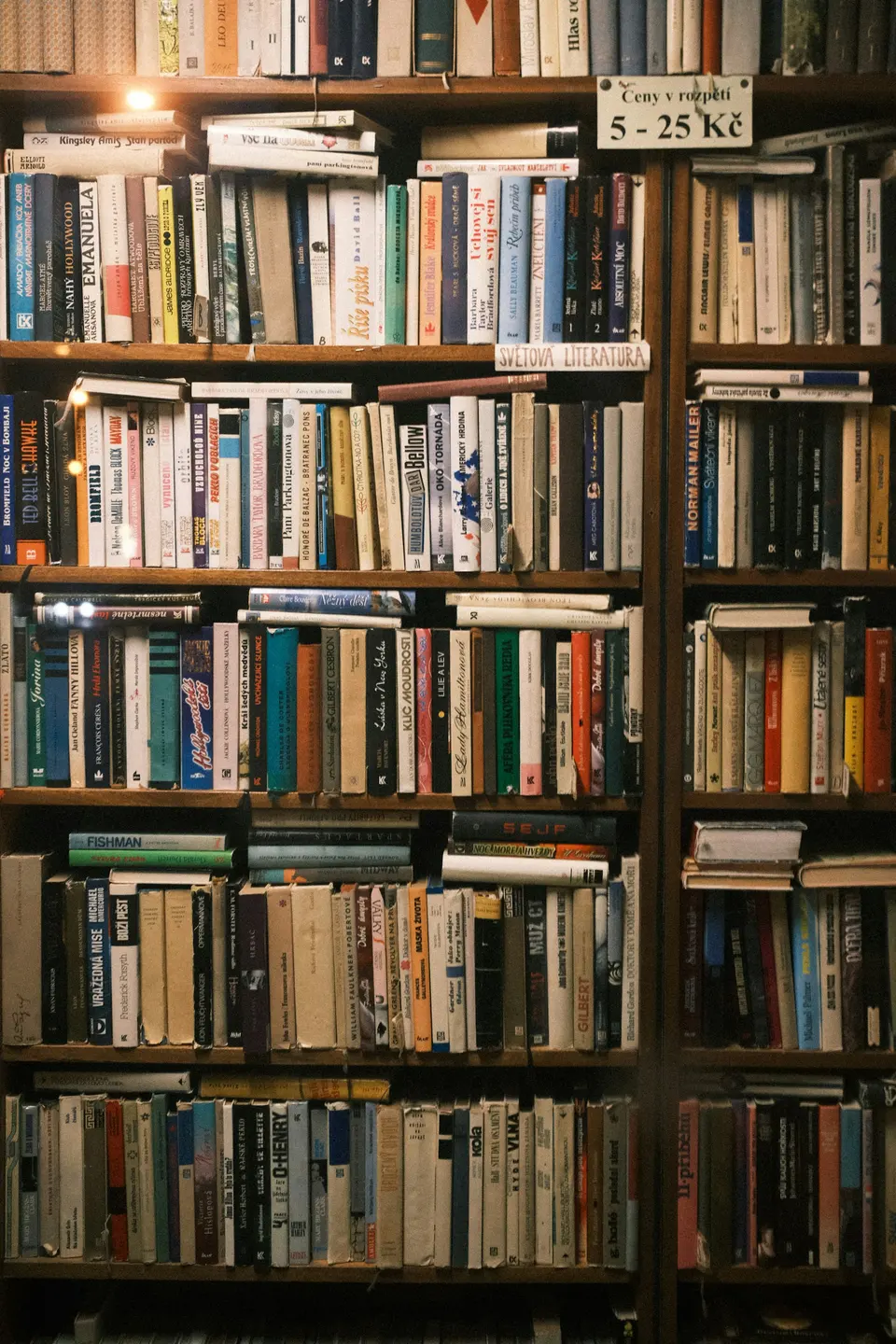 A wall of bookshelves filled with many books