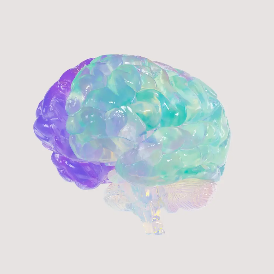 Translucent colored illustration of a brain